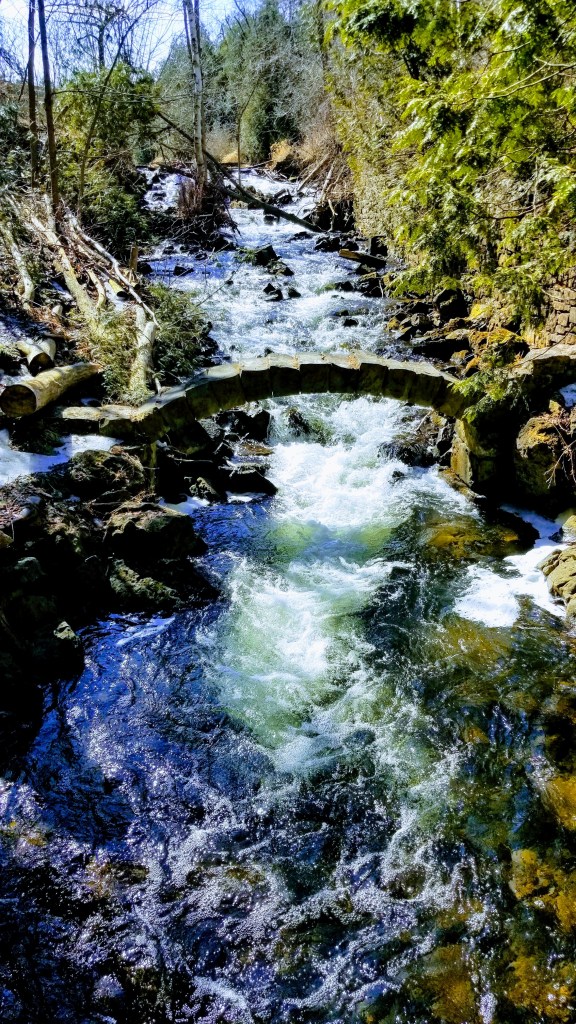 Spring time Creek from Limerick Conservation Area in Ontario.